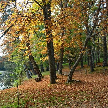 Sunday Las Navas Лас Навас дель Маркес Экстерьер фото
